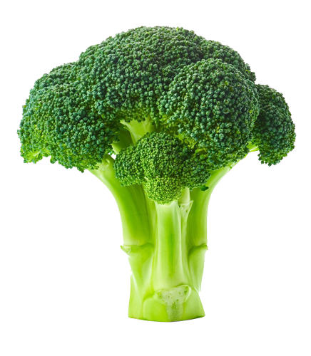 broccoli