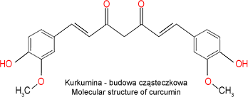 molecular-structure-of-curcumin
