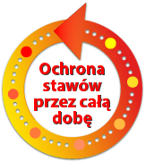 ochrona stawów