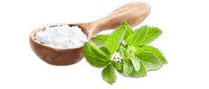 stevia rebaudiana